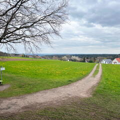 23-04-30 13-46-53 5244